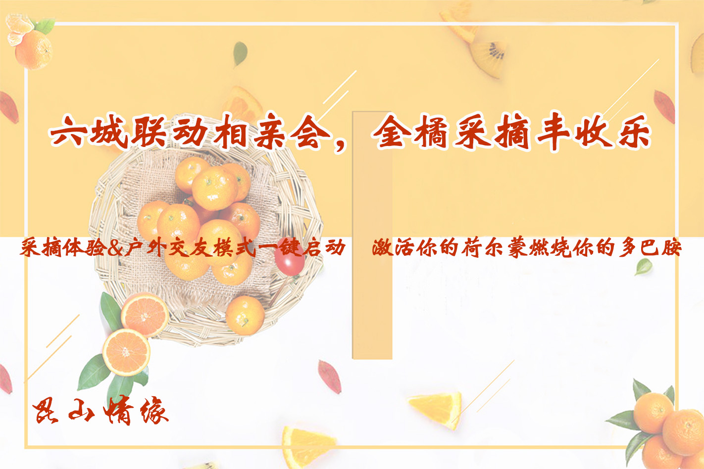 金橘采摘丰收乐，六城联动相亲会活动回顾